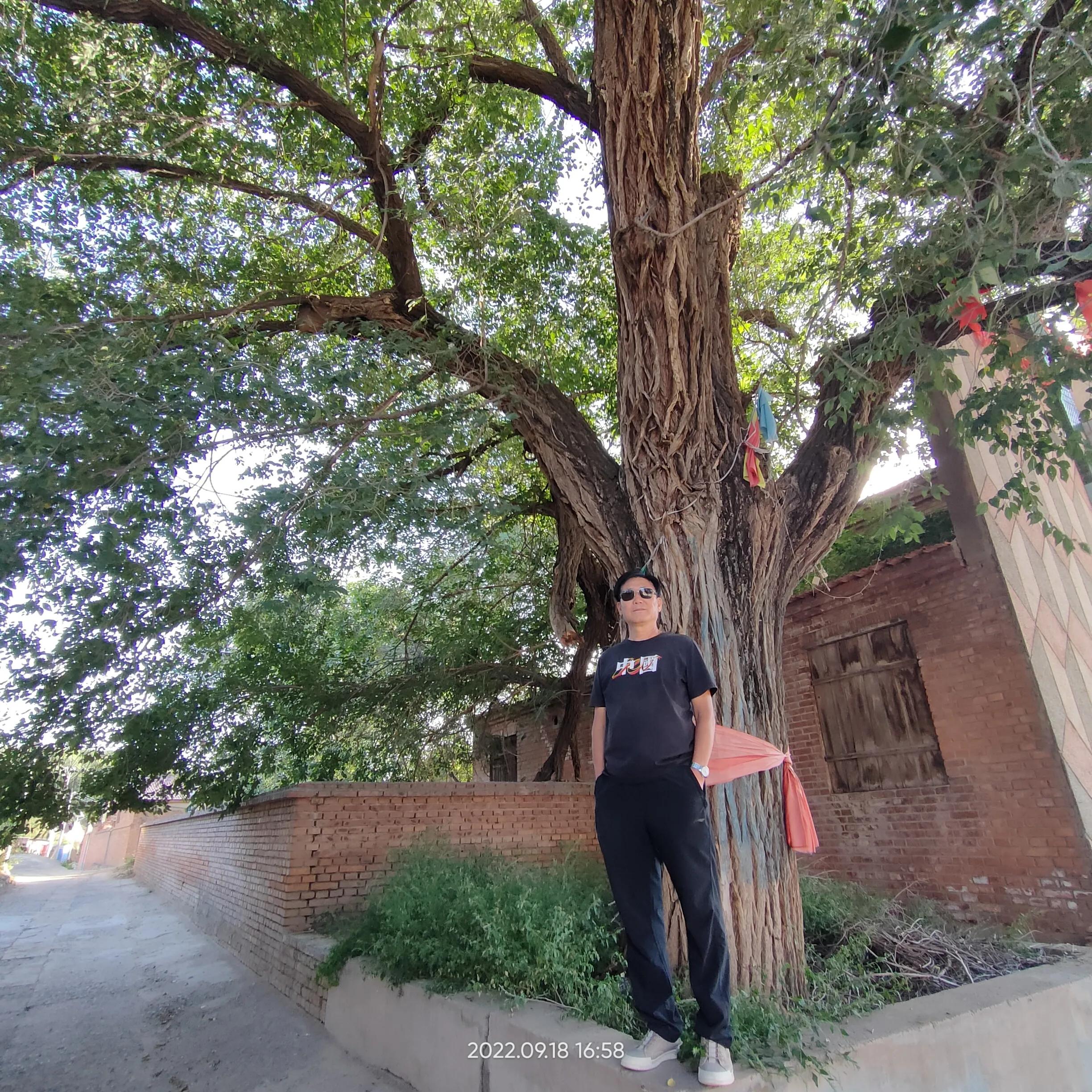 寮犲鍙ｅ競瀹ｅ寲鍘挎潕澶т汉搴勬潃浜烘,瀹ｅ寲鏉庡ぇ浜哄簞鍦板悕鏉ュ巻