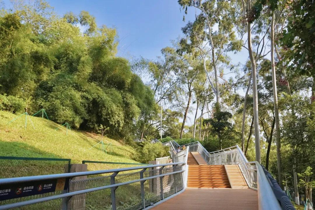 2021广州打卡必去的地方,广州必打卡的十个免费景点