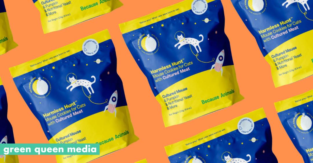 萌白白获融资；烘焙品牌香颂上市；Gucci推出可持续循环时装