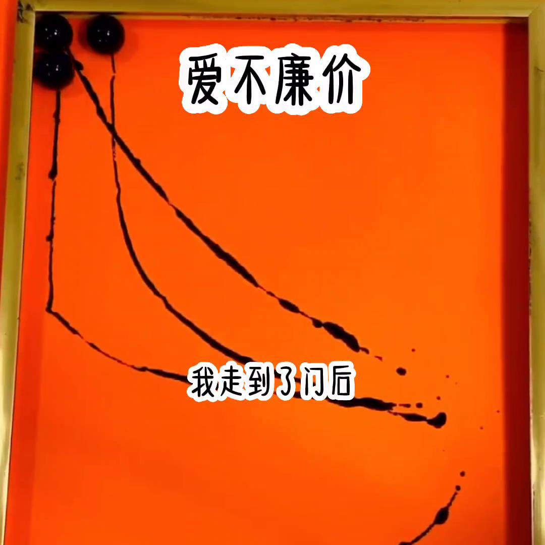 爱不廉价上一句是什么,爱不廉价小说