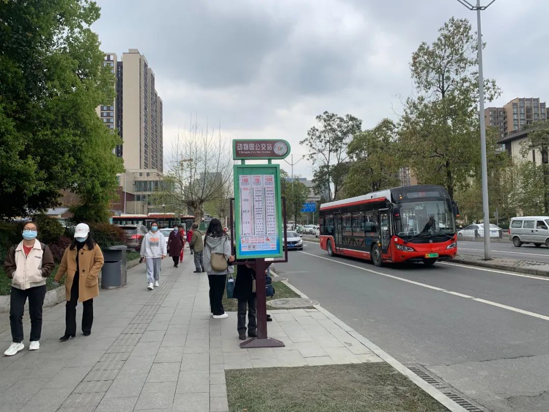 保姆级出行攻略,保姆级支线攻略