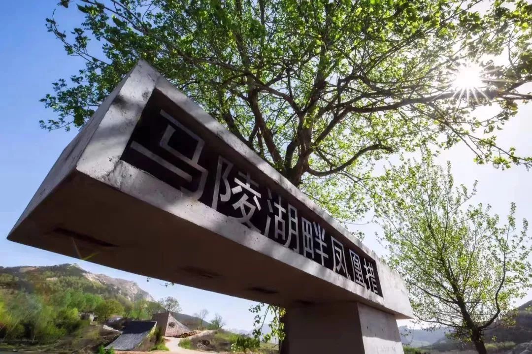 乡村改造创意工坊设计概念,极简乡村改造设计