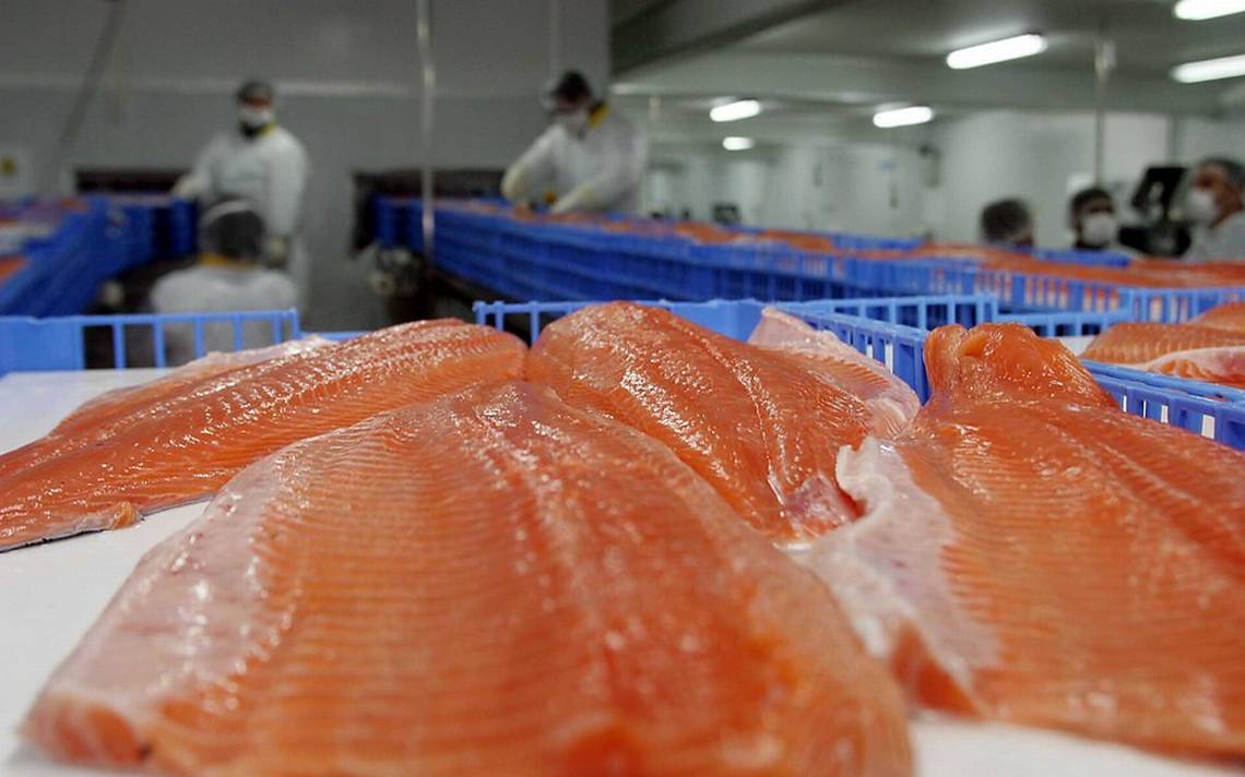 挪威全球征税吗,挪威海产品关税