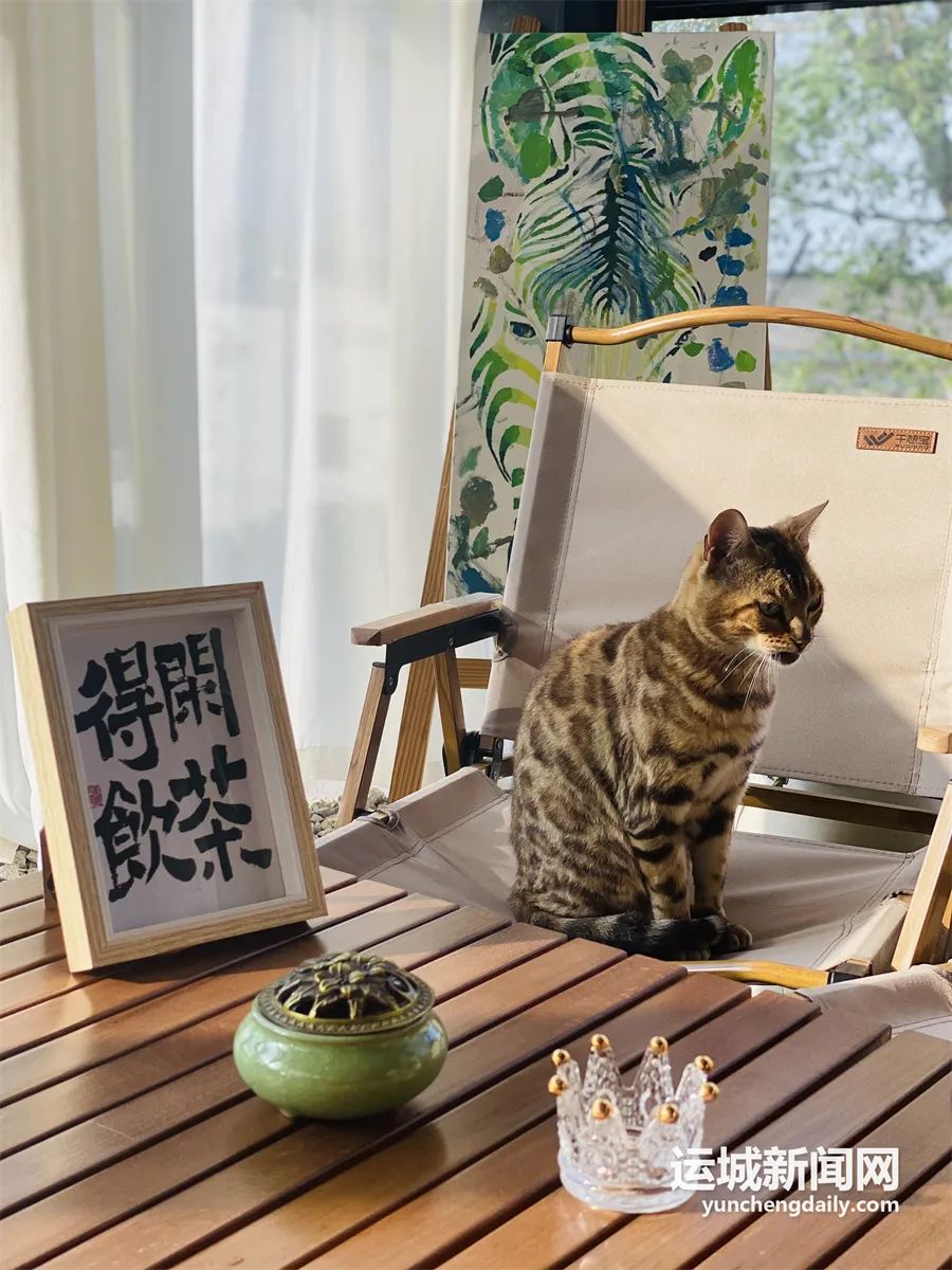 千年盐湖城,千年盐湖全景图