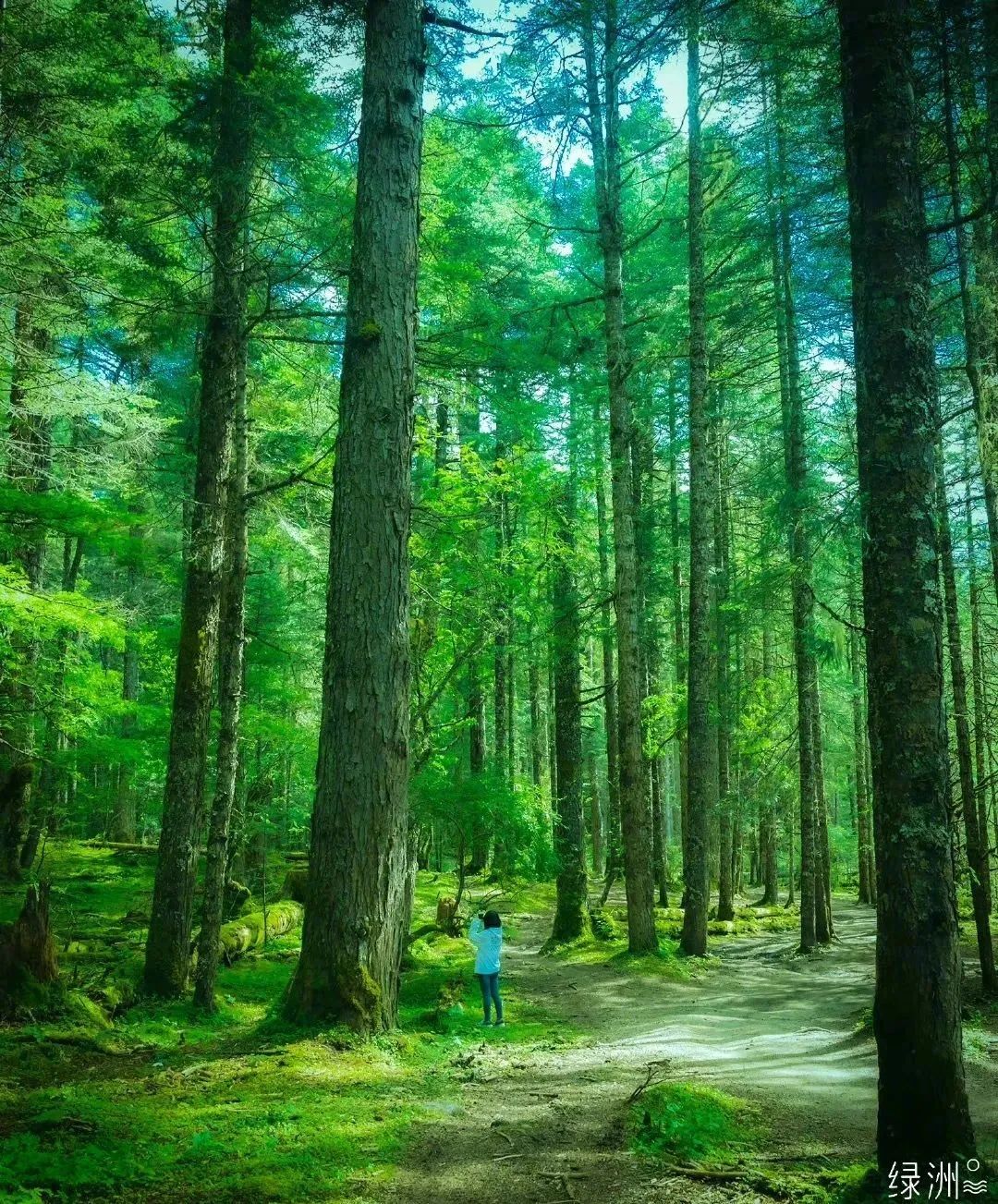 藏西攻略,藏西有什么好玩的