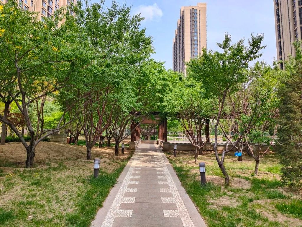 谁是影像机皇,谁才是手机机皇