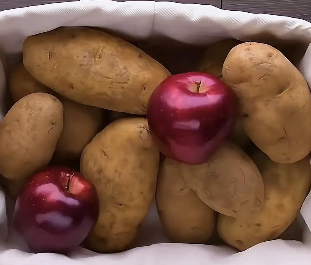 卫生间驱蚊虫小妙招,卫生间防蚊最简单的方法