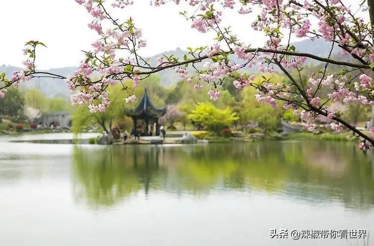 镇江一座美的让人吃醋的城市路牌,镇江一座美的让你吃醋的城市