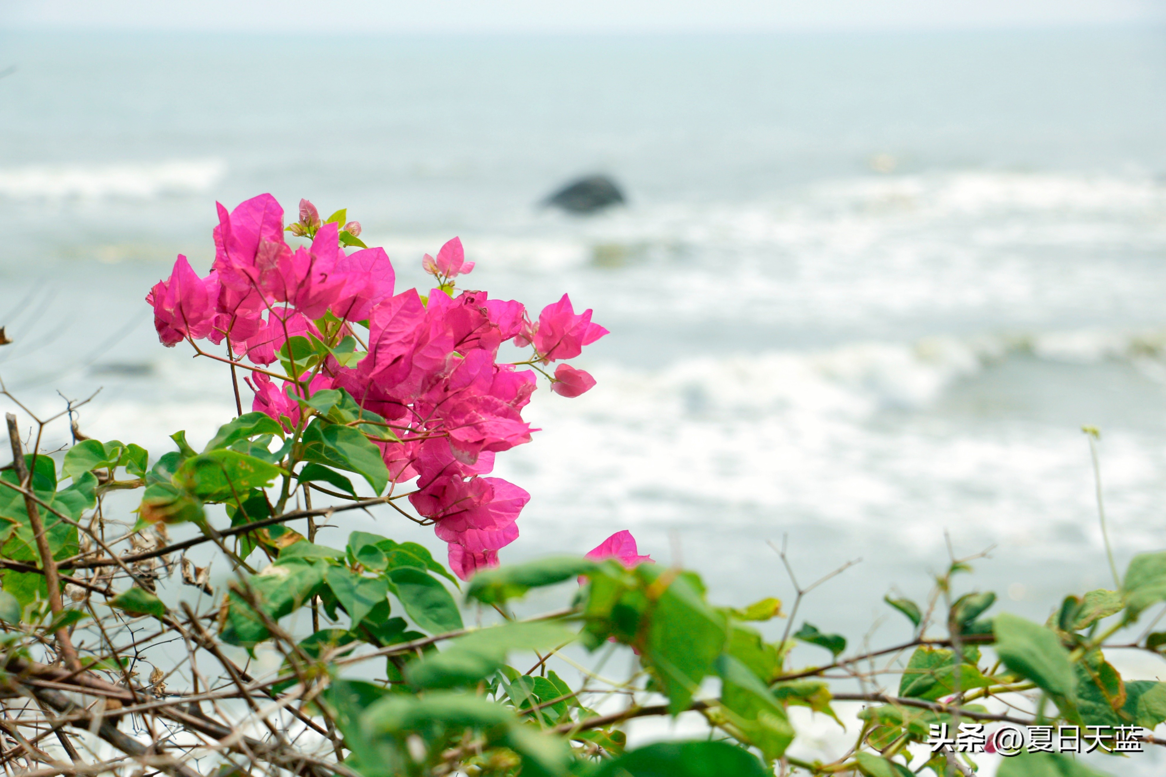 三亚度假最佳选择,三亚度假正确打开方式
