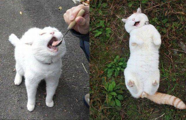 100个难得一见的照片,106个难得一见的照片