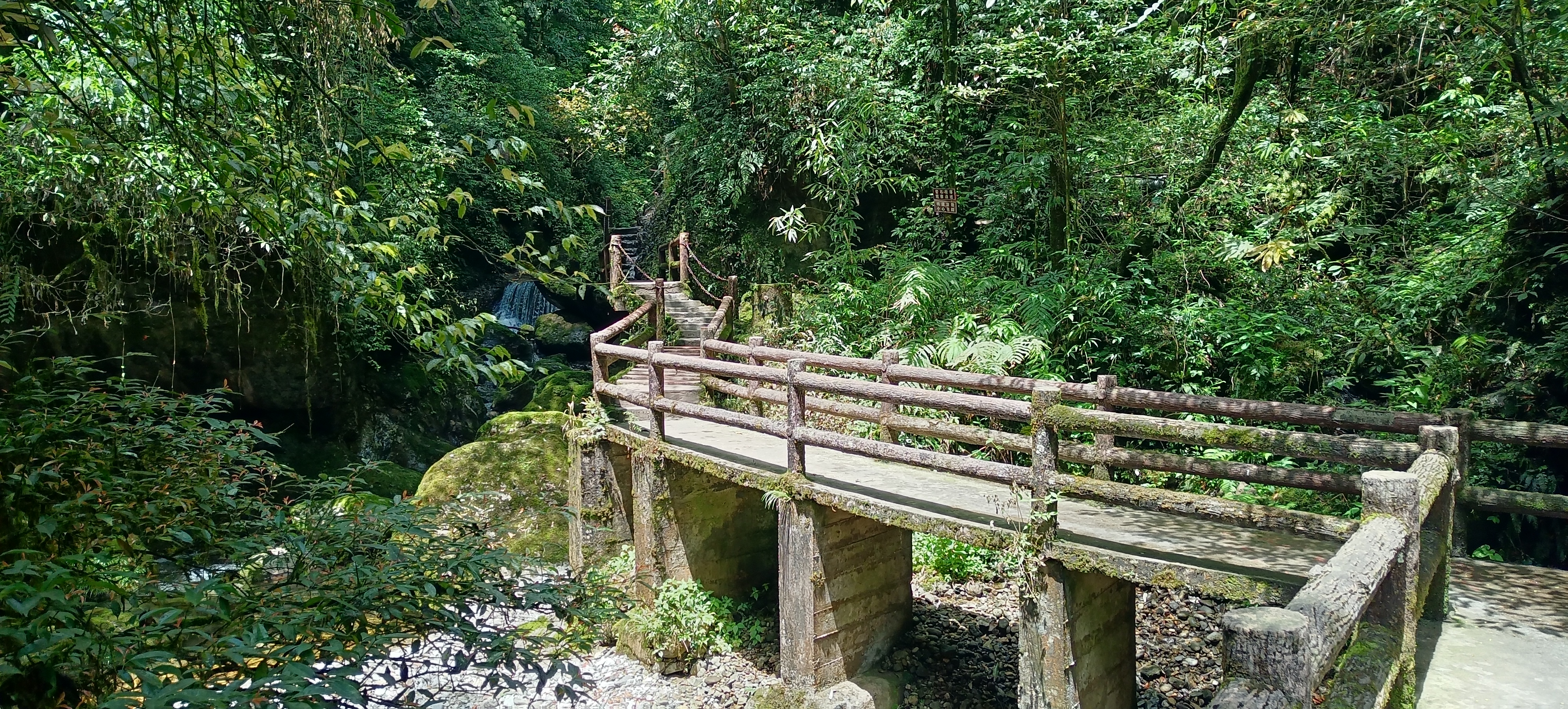 去成都青城山后山攻略,青城后山成都攻略