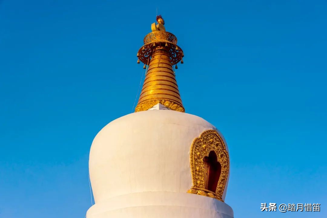 东北沈阳疫情最新通报,东北沈阳疫情