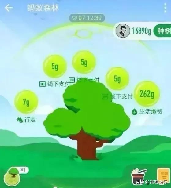 蚂蚁森林能查看访问记录吗,蚂蚁森林的消息记录