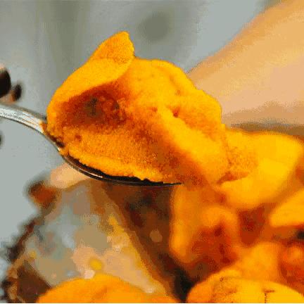 有山有海有雪的城市烟台,环渤海新区烟台