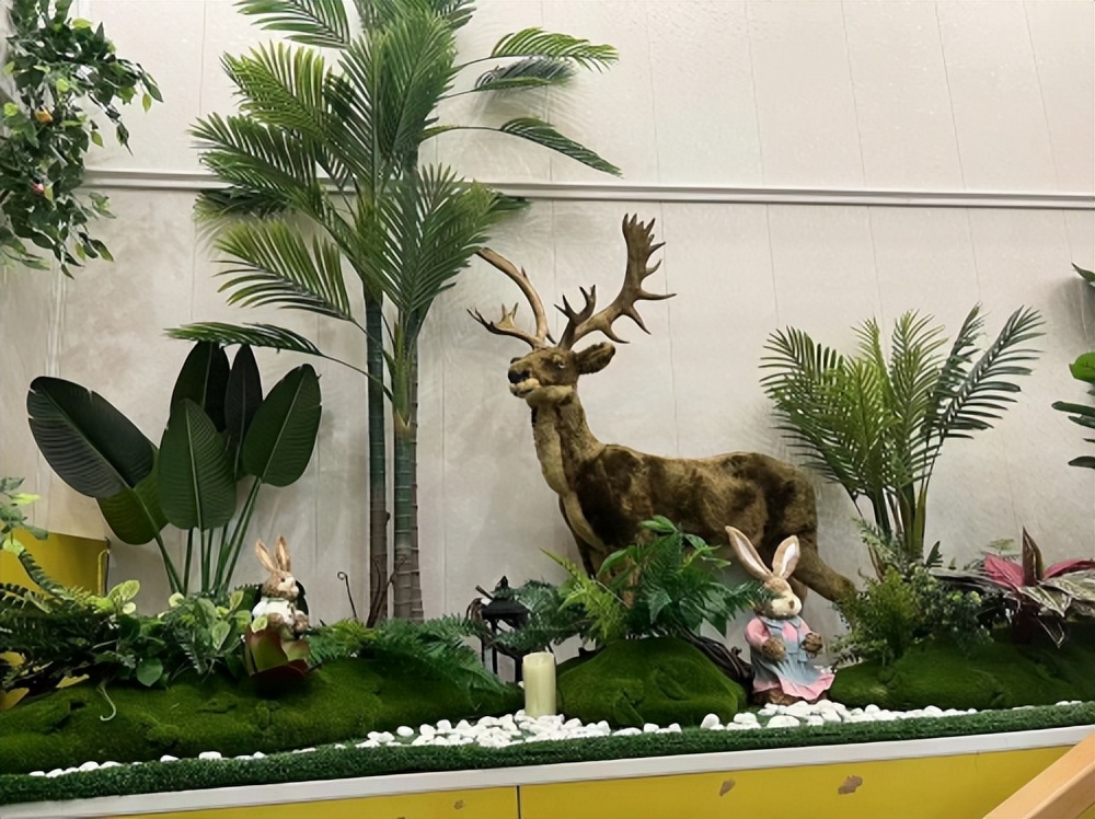 厦门小型宠物寄养店在哪里,厦门宠物专业寄养中心电话