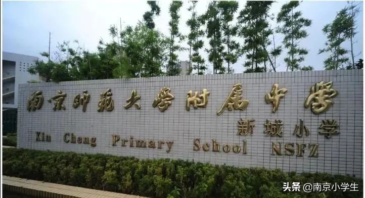南京小学初中双学区排名,南京新城小学中学双学区划分