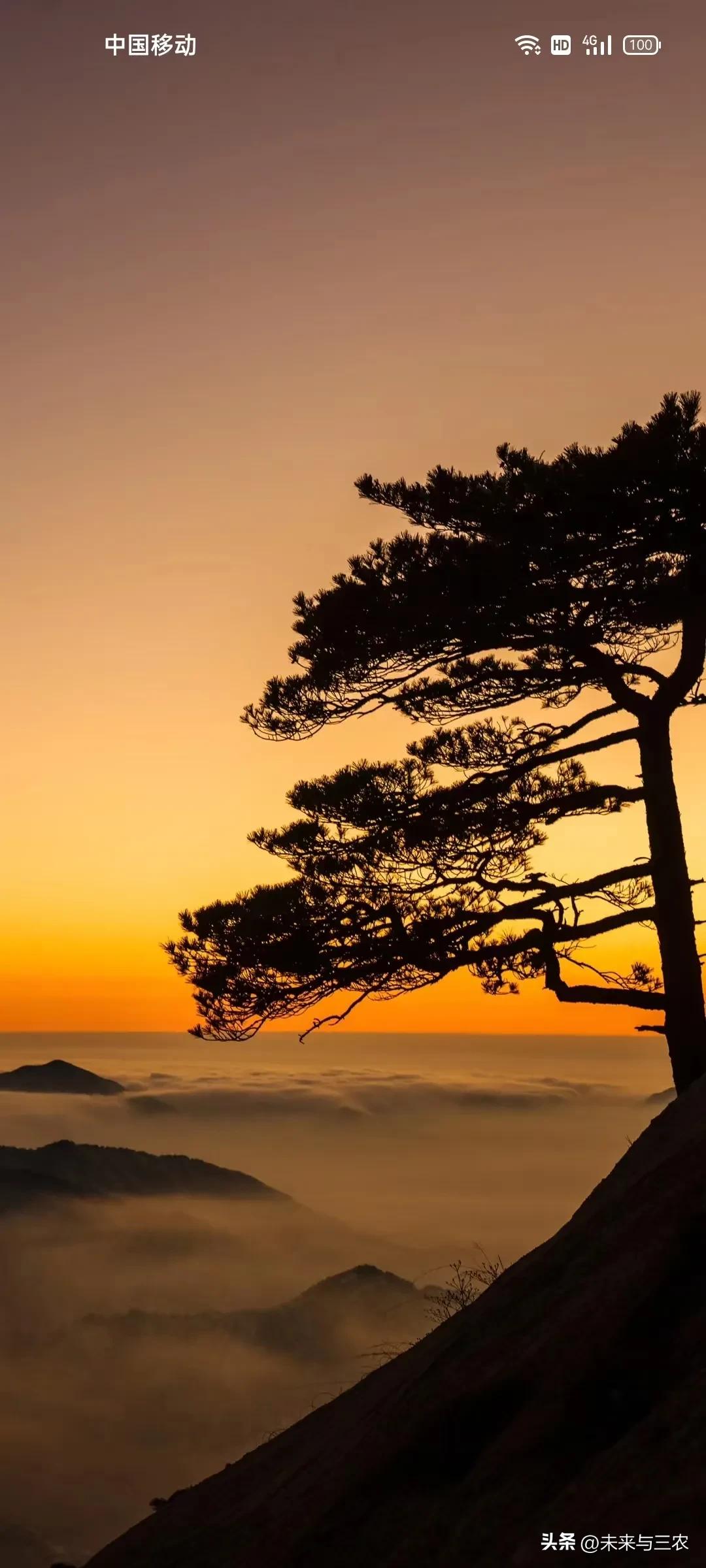 大连是一个历史悠久的城市,大连城市的历史讲解