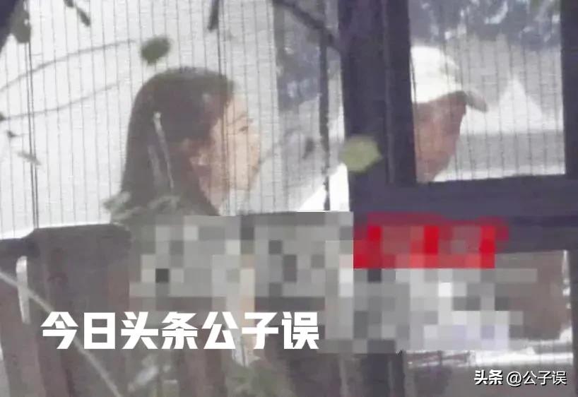 张继科刘诗雯之间的秘密,张蕊张继科刘诗雯