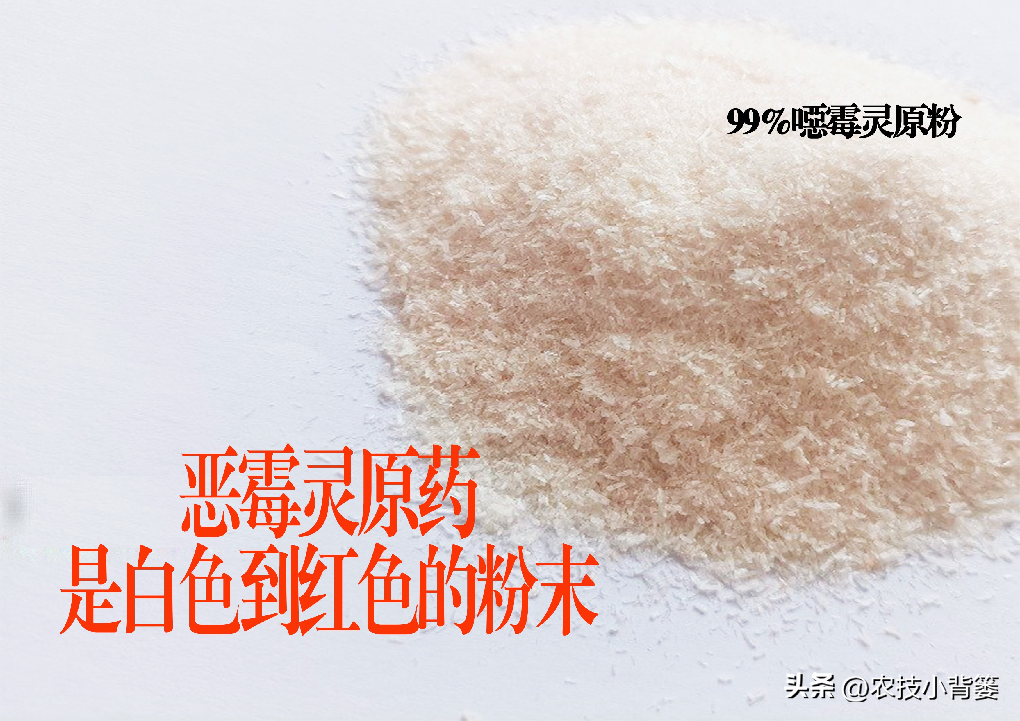 杀菌杀虫生根肥灌根的最佳方案,用杀菌剂真的能治住根部病害吗