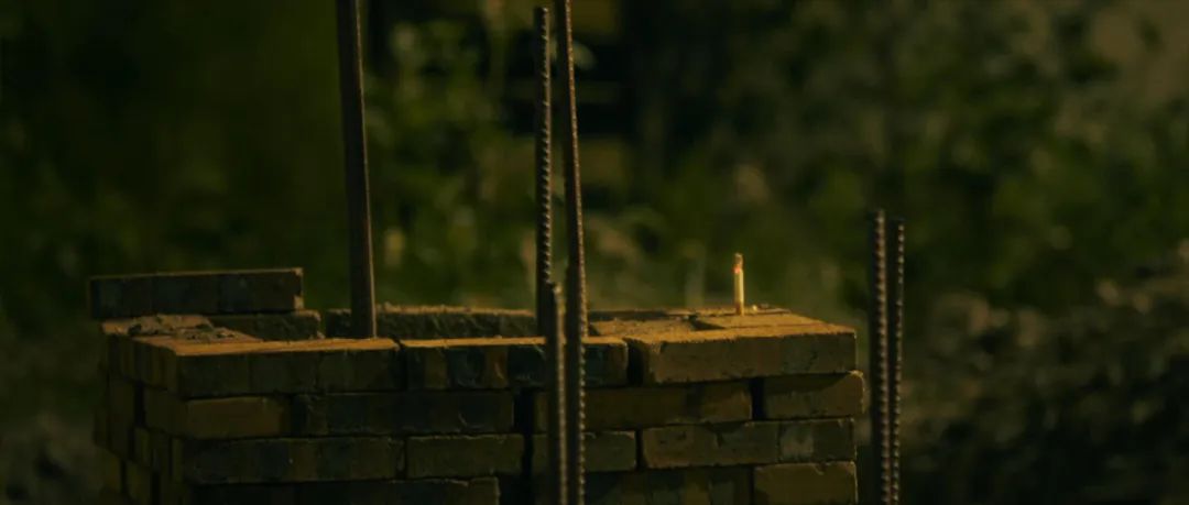 邹兆龙动作片,邹兆龙新动作电影