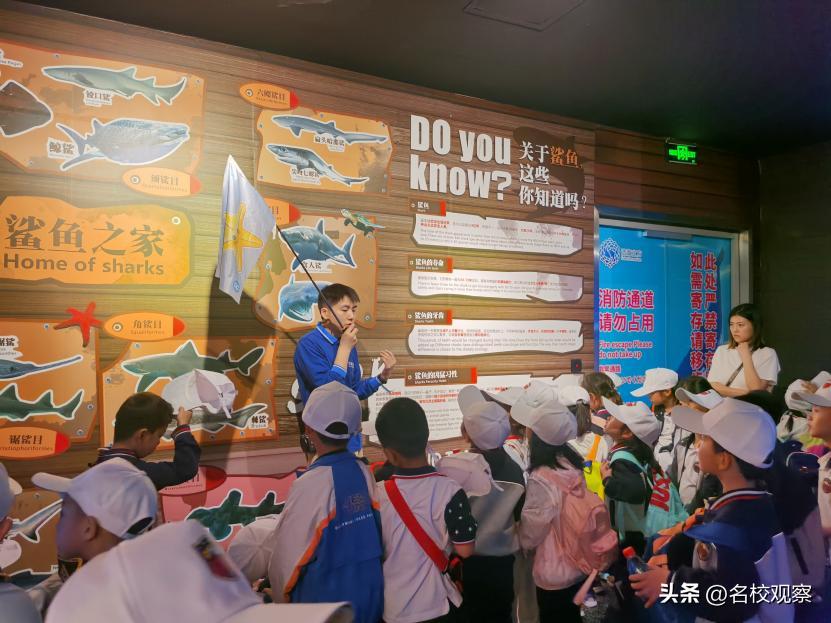 蔚蓝做苍穹，鱼儿变繁星！新川学子，走进浩海立方，探秘无限海洋