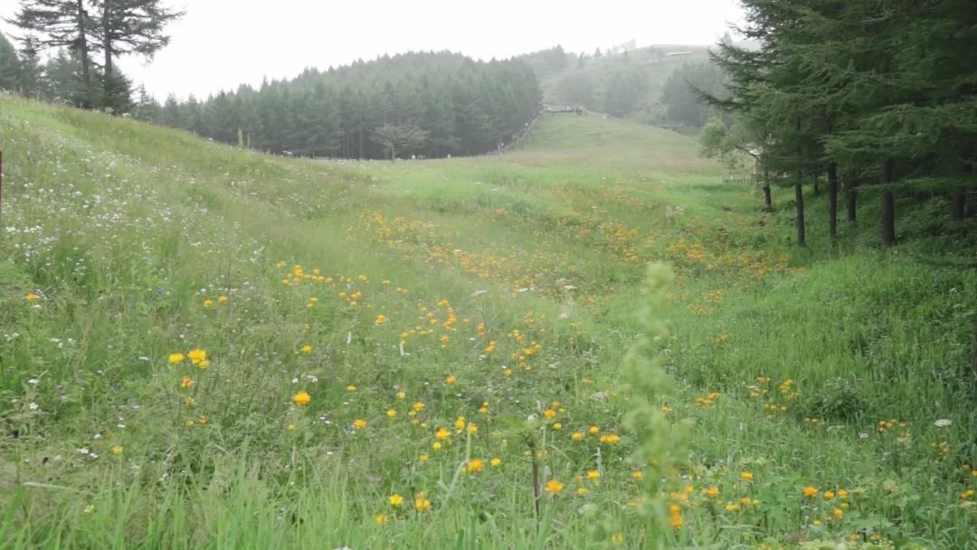 太行山海拔最高多少米,太行山海拔1000米以上分布图