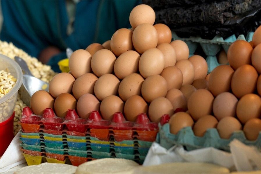 白壳鸡蛋和红壳鸡蛋哪个贵点,白壳鸡蛋红壳鸡蛋哪种营养价值高