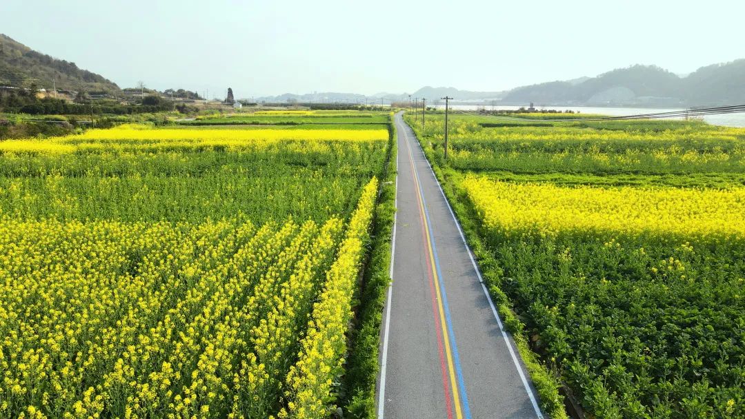 2020年杭州市最美绿道,杭州市滨江区沿河绿道