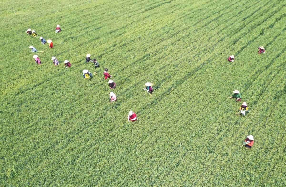 户口迁移村委不同意怎么办,农村落户村委会不同意怎么办