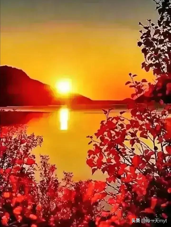 2020年中国出生人口性别比例,人口性别比例失衡的影响及其对策