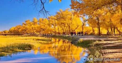 鎻鍏ㄧ悆鏈牬鎮鍚堥泦,鎻涓浗澶ф鍚堥泦