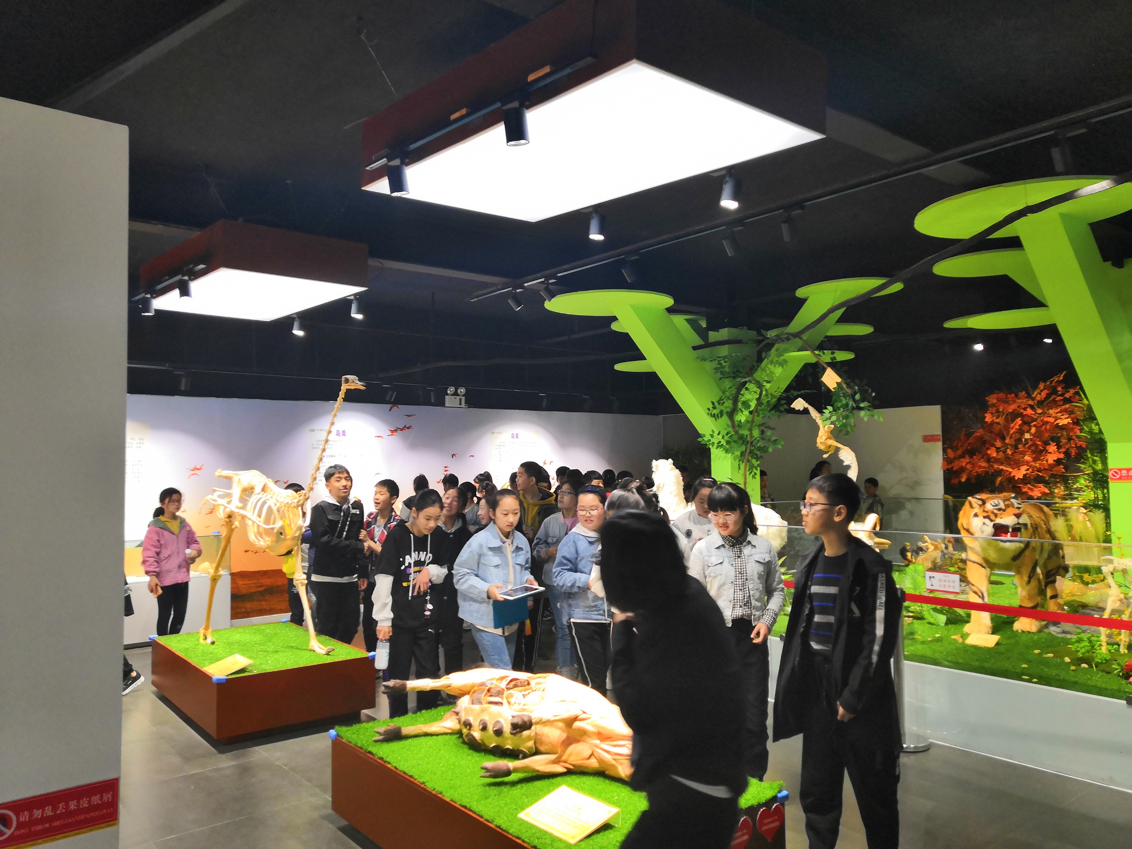 郑州市内周末遛娃好去处,郑州周边带娃不累的旅游地