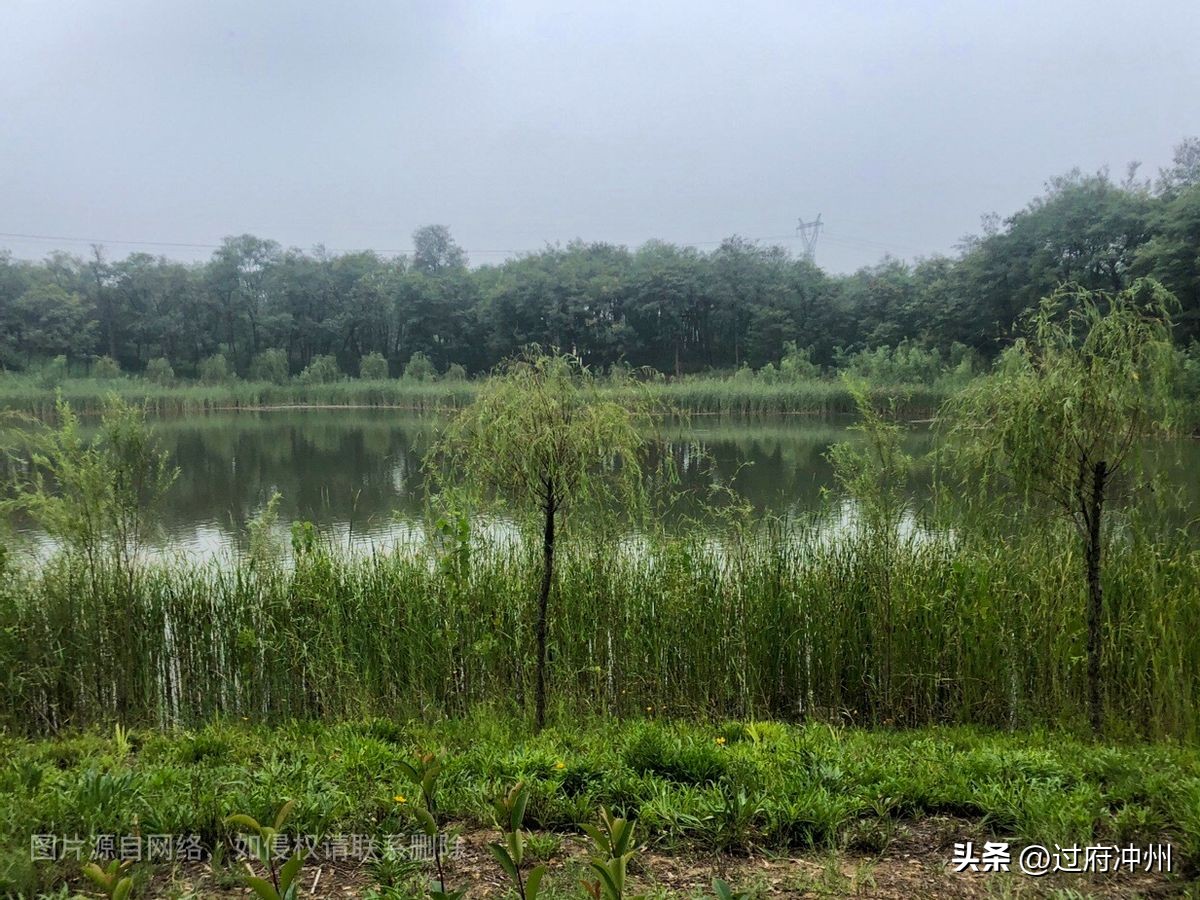 郑开之间最大生态水域，泉水叫绝，螃蟹闻名，开春踏青会很好