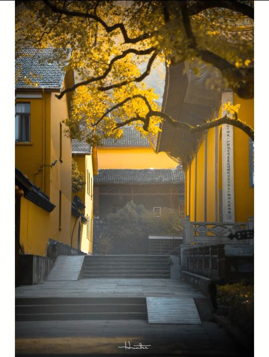 杭州西湖一日游攻略详细路线,杭州西湖美景一日游跟团