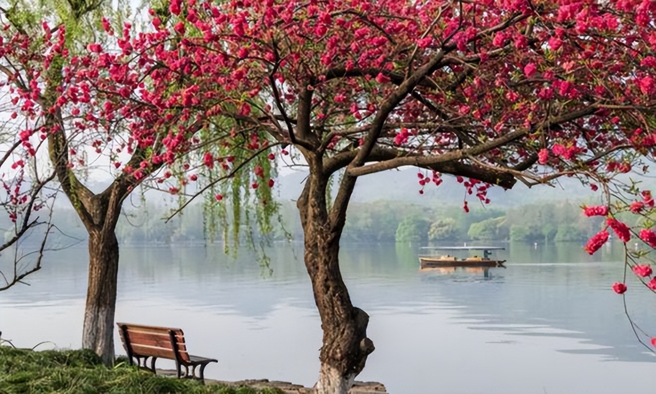 浙江旅游必去的十大景点有哪些,浙江冬天旅游必去十大景点
