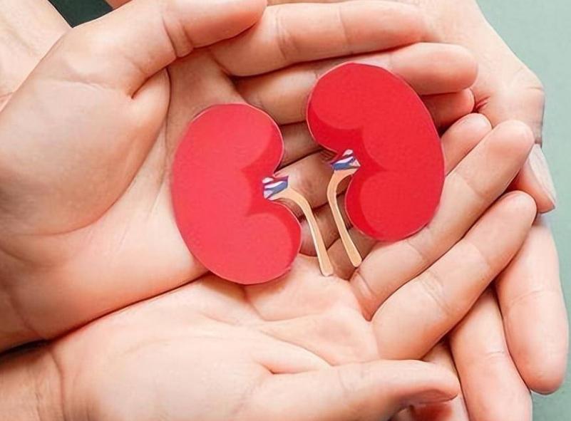 小便时泡沫多，除了肾不好，还可能与这3个原因有关，需了解