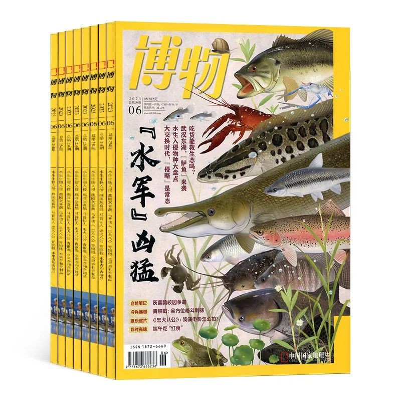 初中升高中暑假该不该玩,初中生学生暑假应该怎样度过