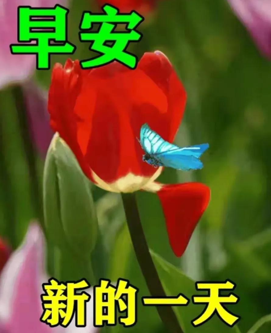 分享早安正能量图片,分享所有人的早安图片