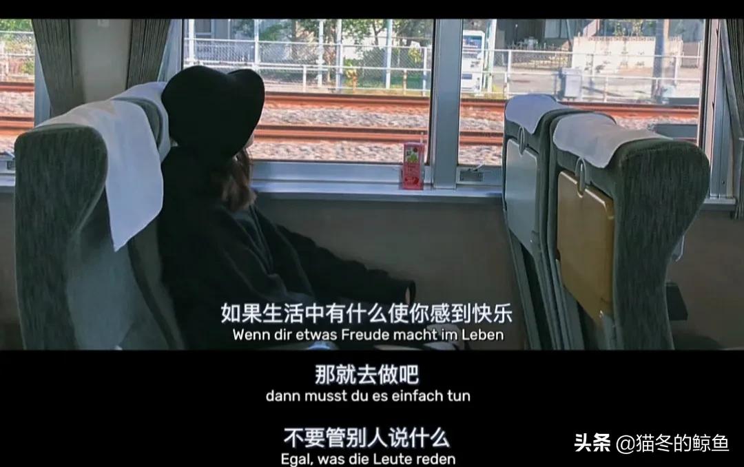 猪小悦为什么不更新了,猪小悦的头条号