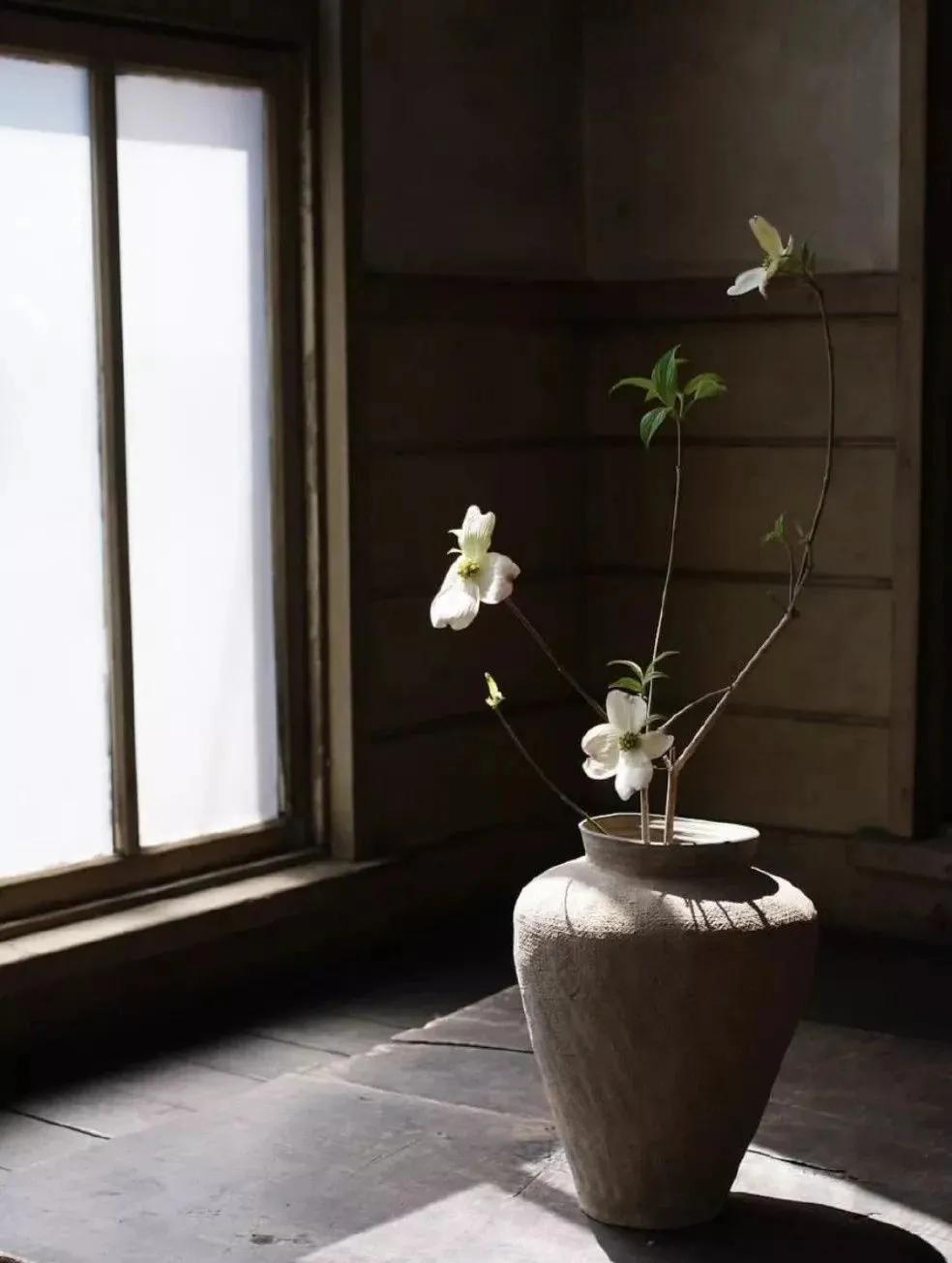 每日一字提手旁,每日一字走召