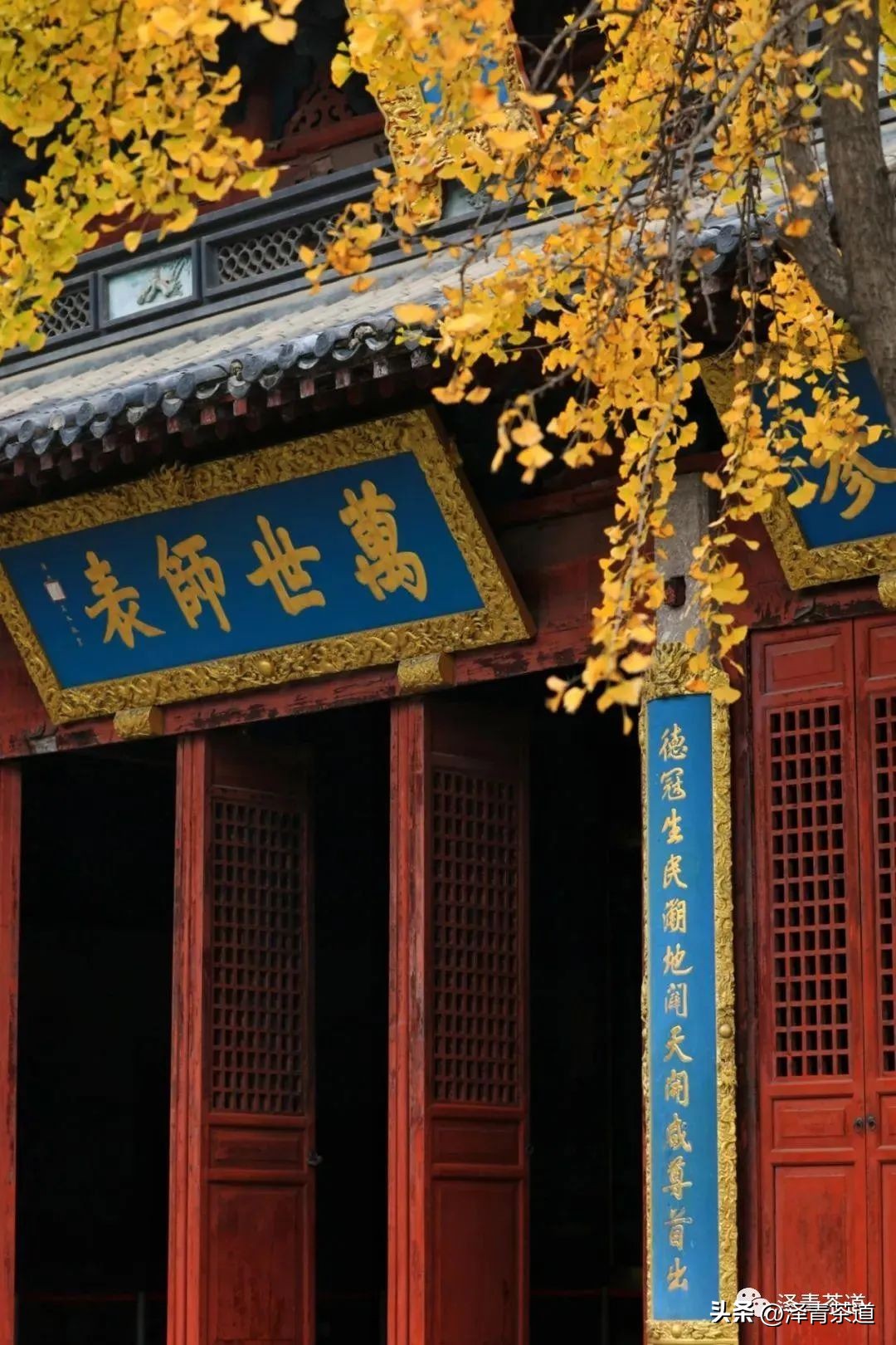 中国茶叶第一产茶大省,陕西中国茶叶第一大省