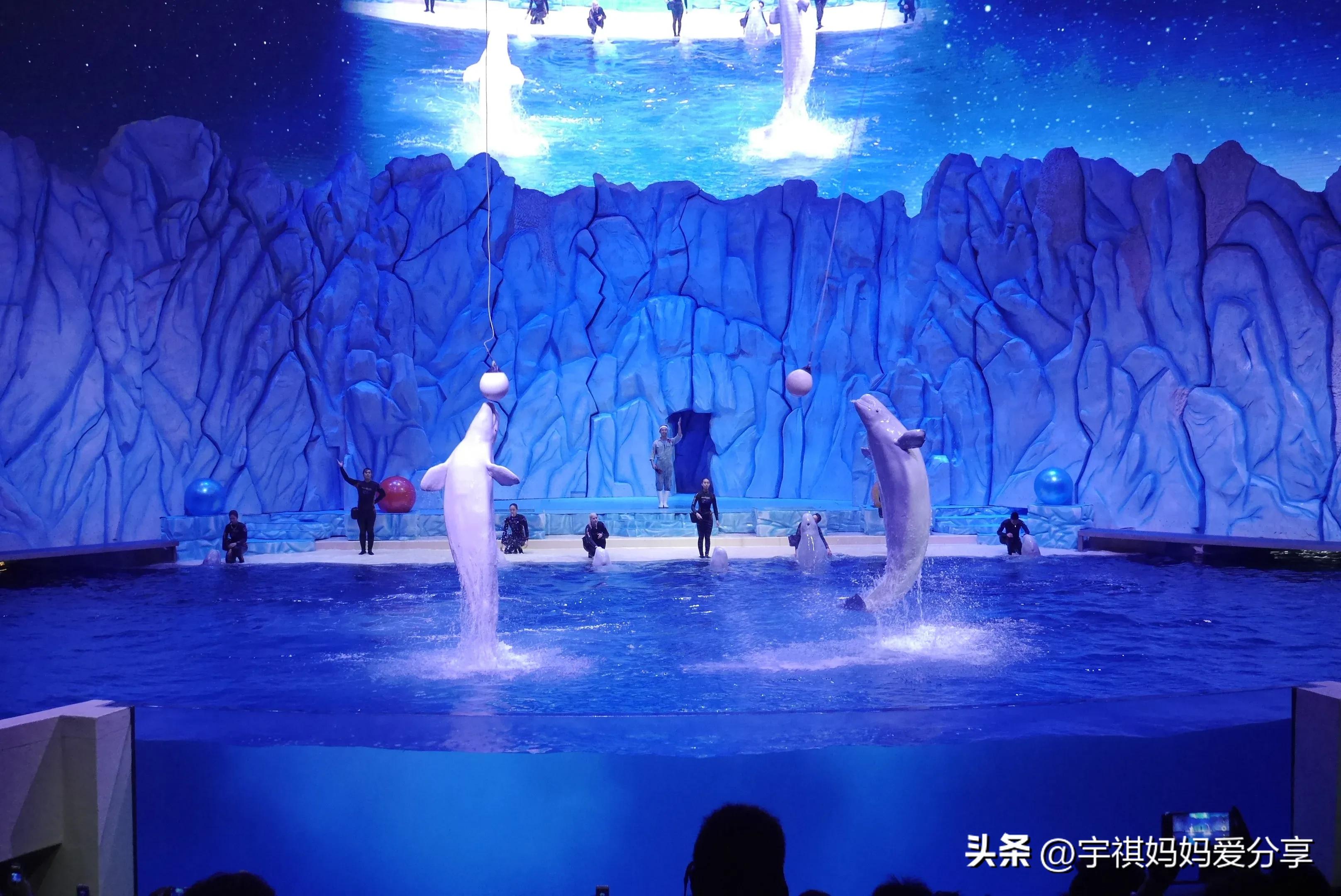 珠海长隆海洋王国哪个地方最好玩,珠海长隆海洋王国里面有什么好玩