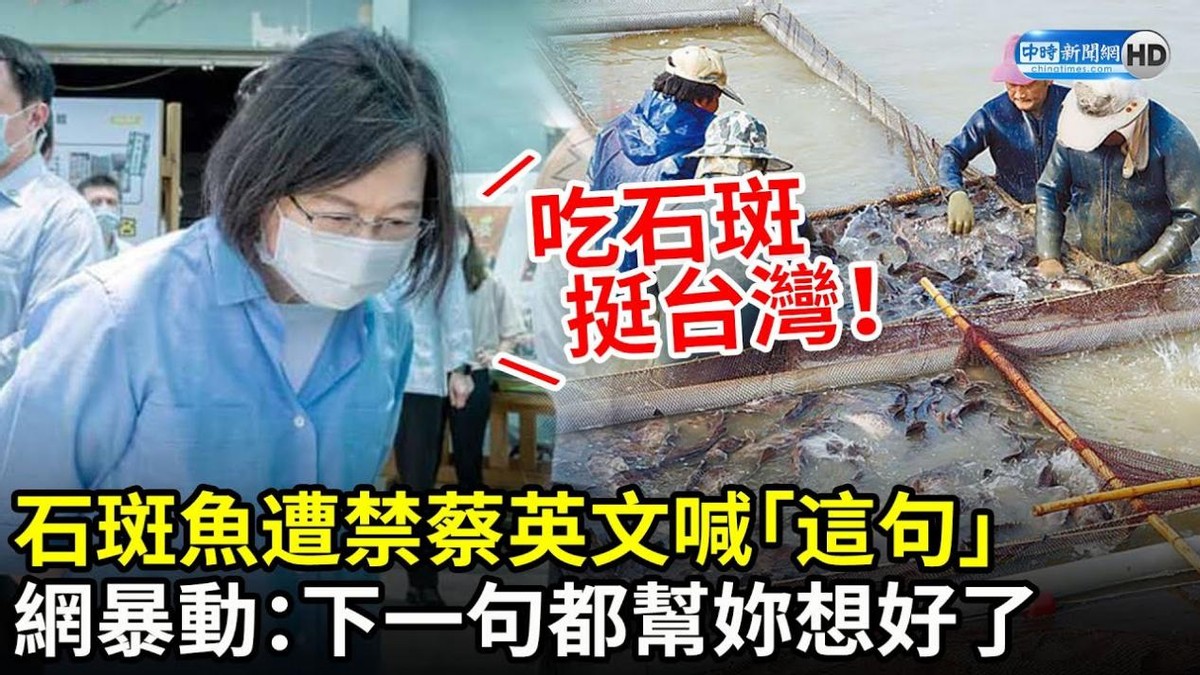 蔡英文喊话“吃石斑,挺台湾”!激起岛内民愤,滞销凤梨吃完了吗