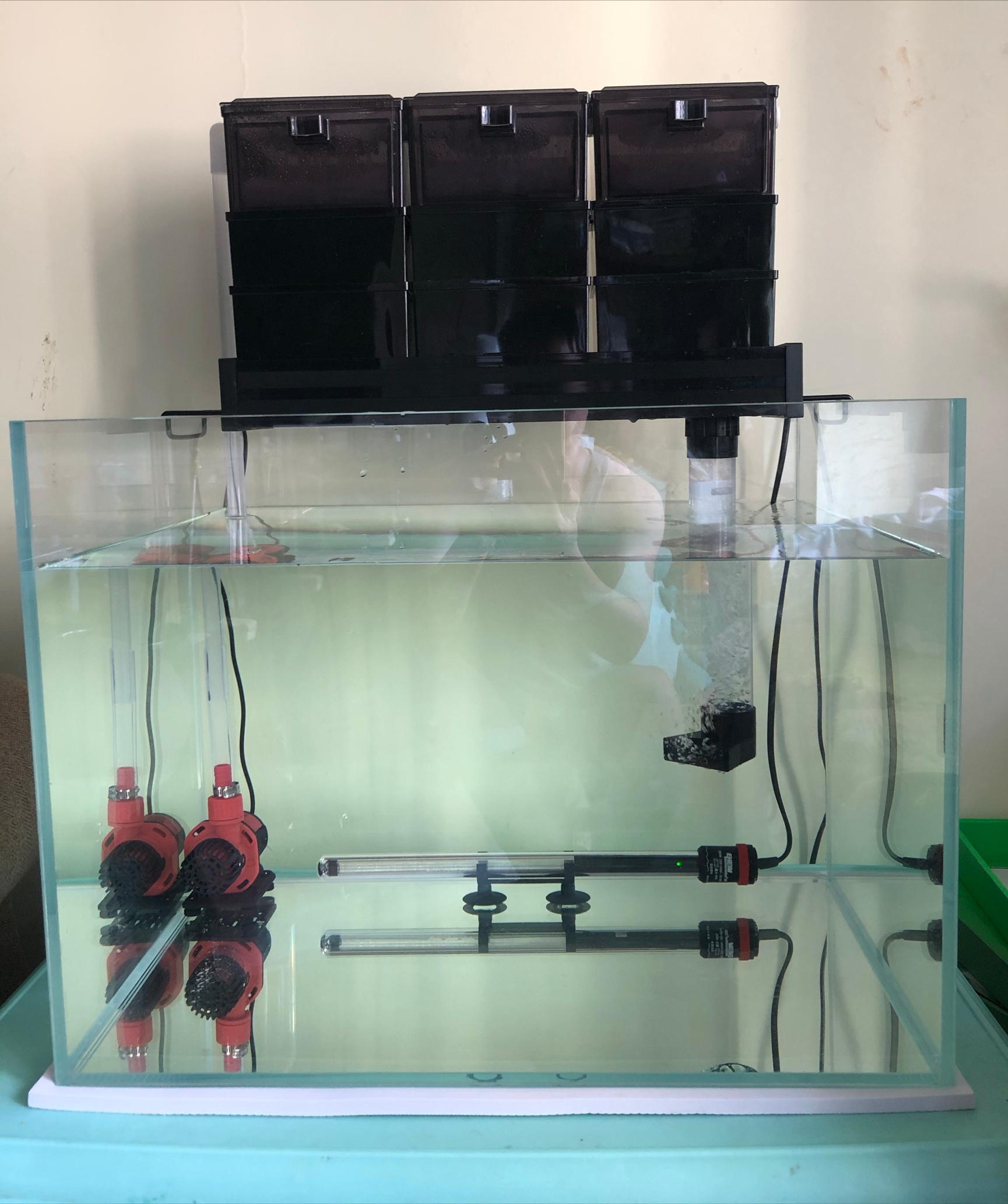 鱼缸水泵防吸鱼,鱼缸水泵口吸小鱼怎么办