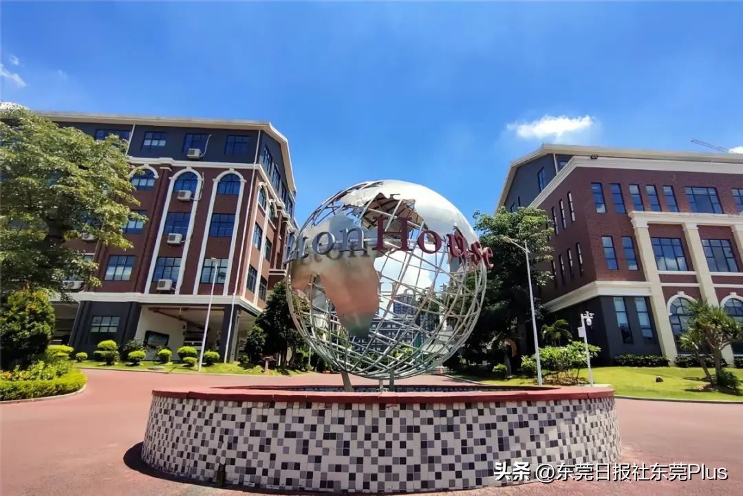 东莞官宣,东莞最新公办学校