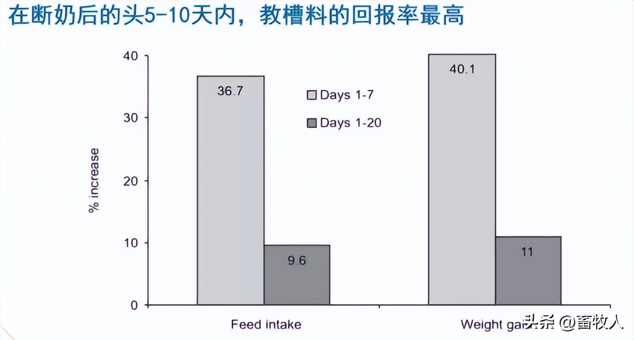 万建美博士:母仔一体化低蛋白猪料配方方案的设计与应用关键