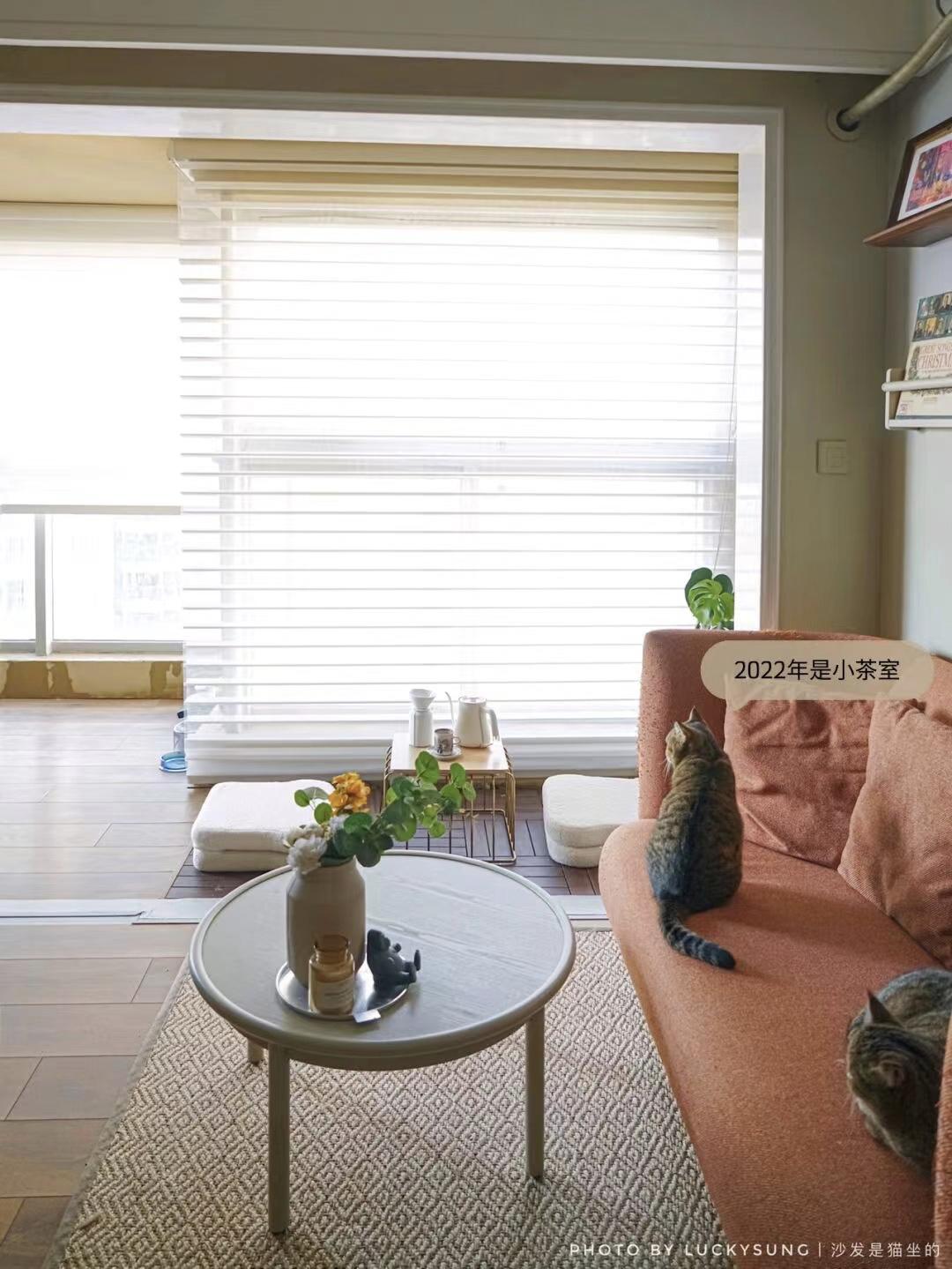 她丁克7年，75㎡的房子越住越大：不完美、不合理，但我喜欢