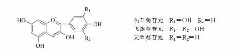 含黄酮类成分的药材有,陈皮的黄酮类成分作用