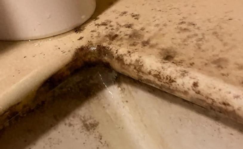 水槽防霉怎么解决,水槽长霉