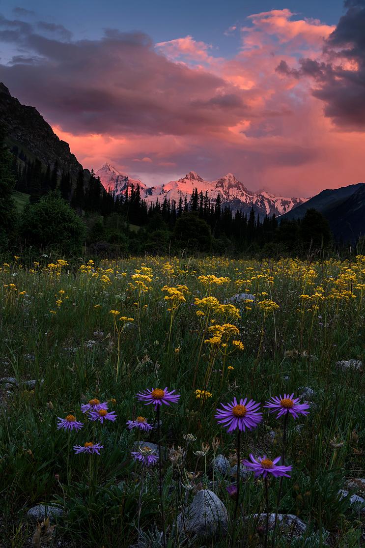 eosr6markii怎么拍照,eosr6markii追焦拍摄